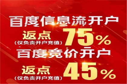 成功SEM服务案例分析报告